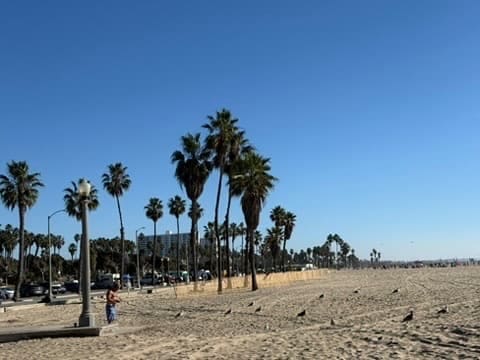 USA - Westküste - Tag 5 in Los Angeles – Hollywood, Santa Monica & ein überraschendes Straßenfest in Chinatown - BAB4C7E0-D330-49E4-BE26-A9C16B3C50A3_4_5005_c.jpeg - USA…