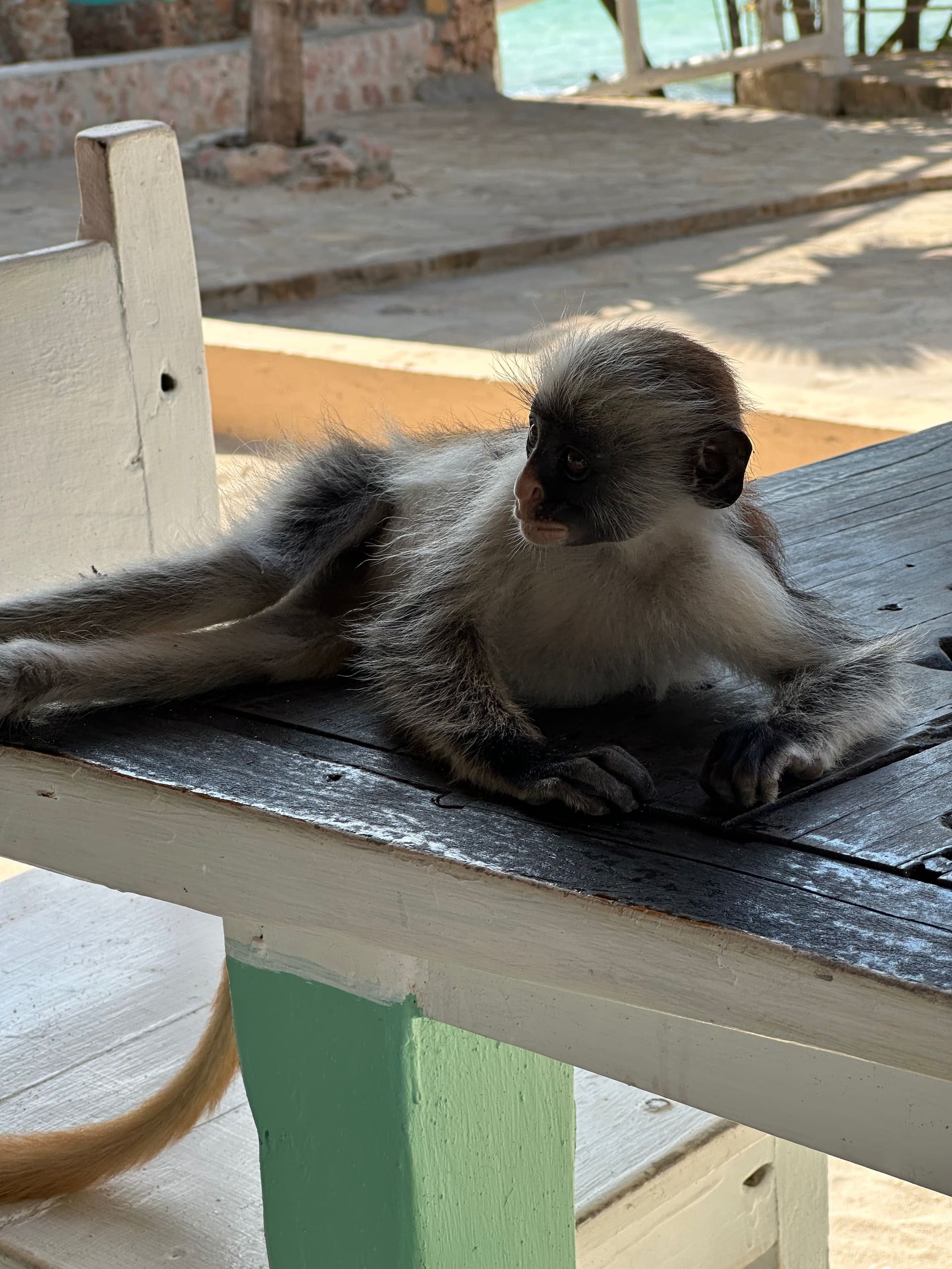 Tansania Expedition: Serengeti & Sansibar - Galerie Bild 4 - Tansania - Reise