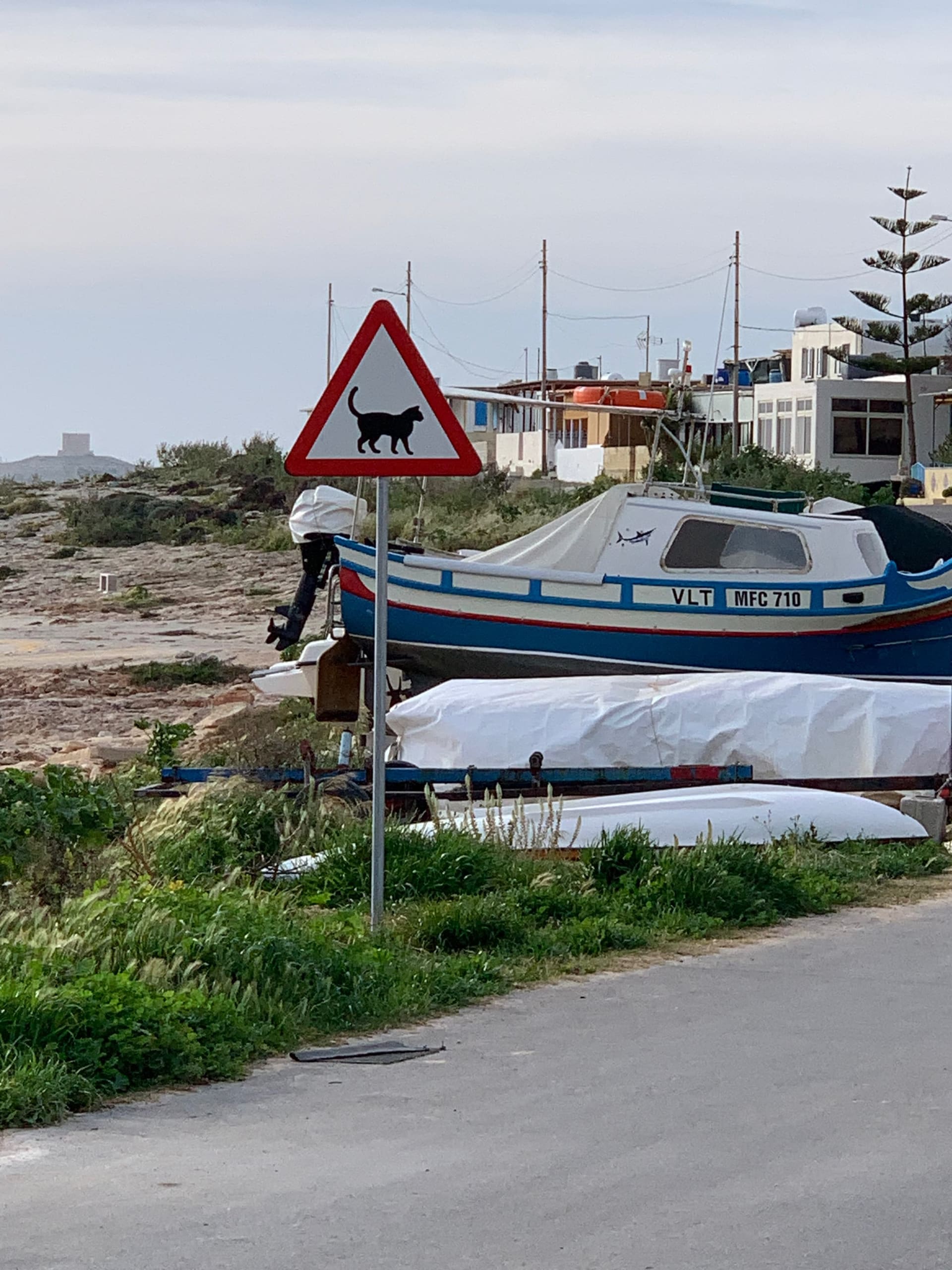 Malta - Galerie Bild 13 - Reise
