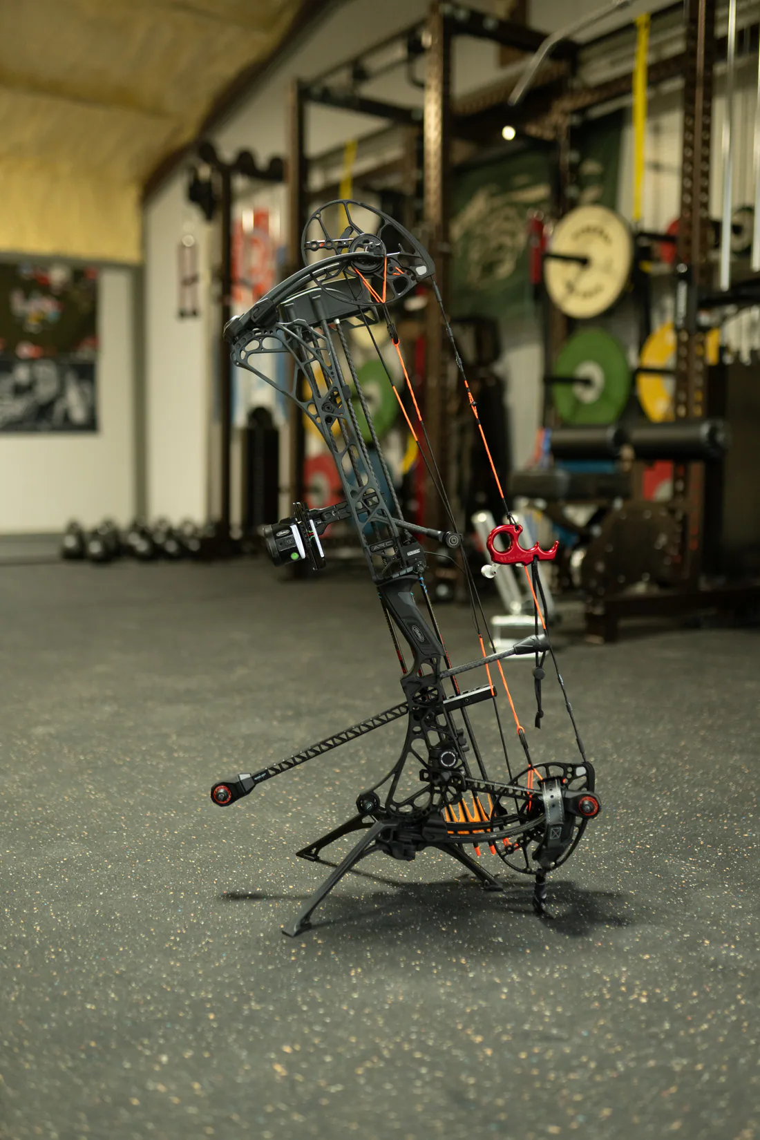 Compound bow standing among strength equipment in a training room