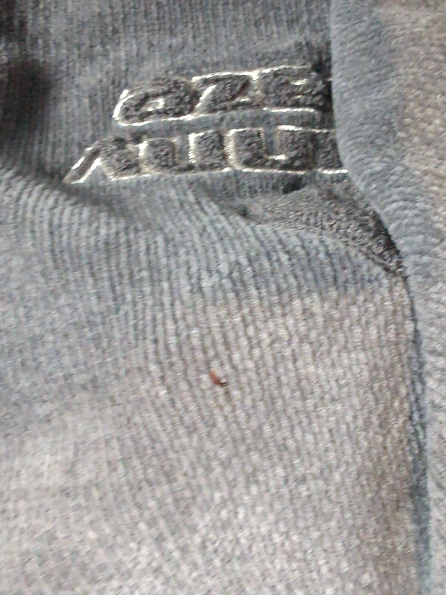 Johnny Blaze S - zdjęcie 4