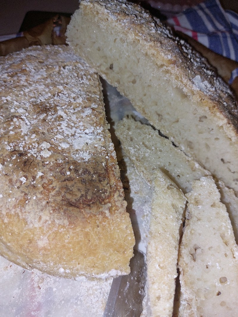 Pane