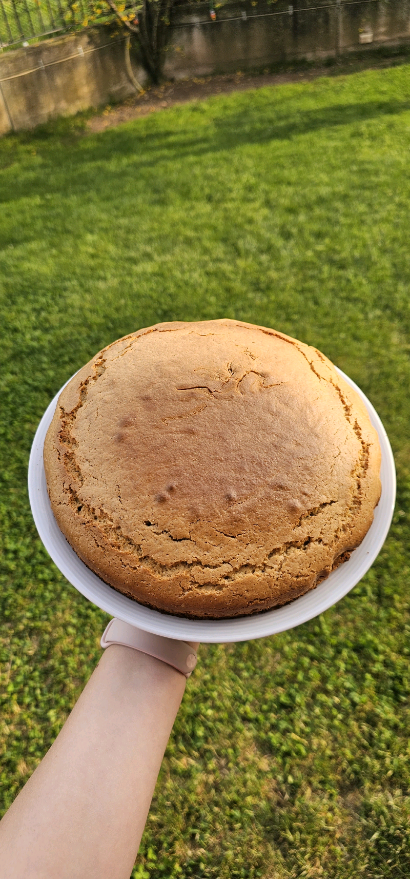 torta di nocciole