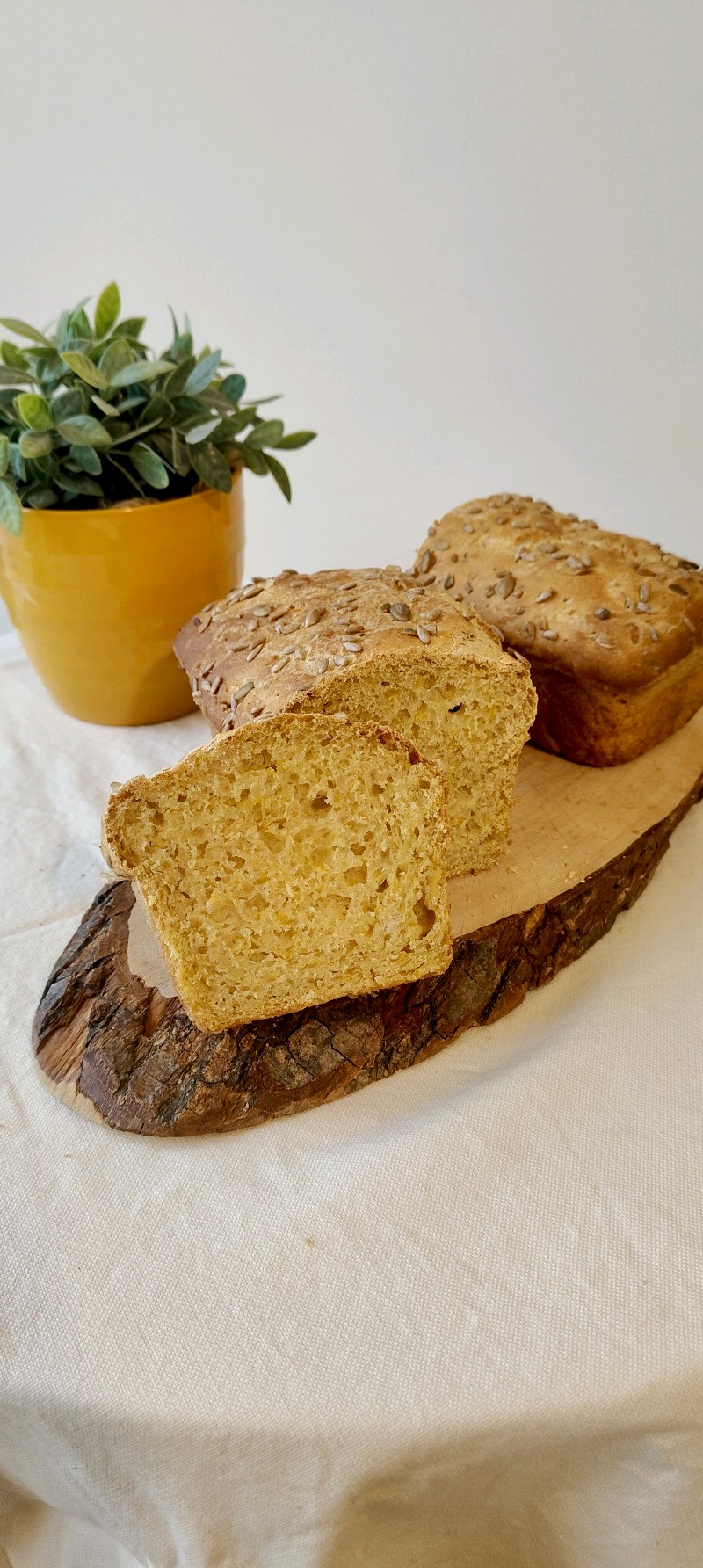 Pan bauletto alla zucca