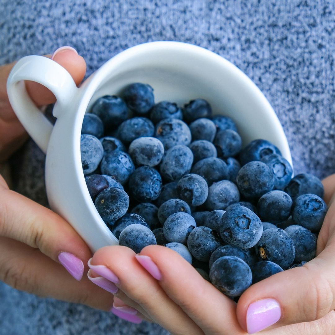 Woman holding bowl with Frozen blueberry fruits in a white tea cup. 