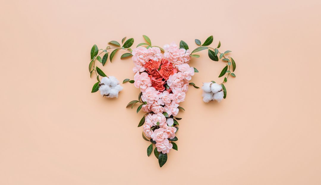  Image of the female reproductive system made up of flowers and leaves.