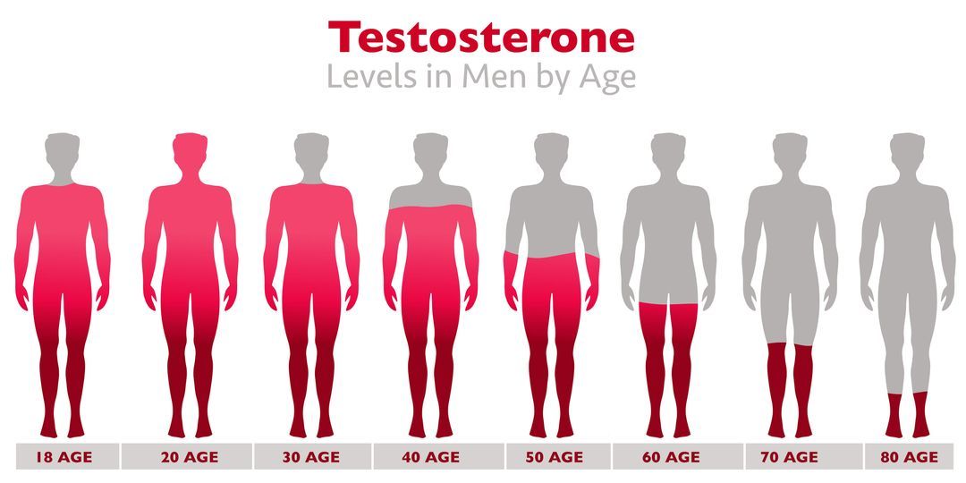 Gray silhouette of male showing testosterone levels in the body by age.