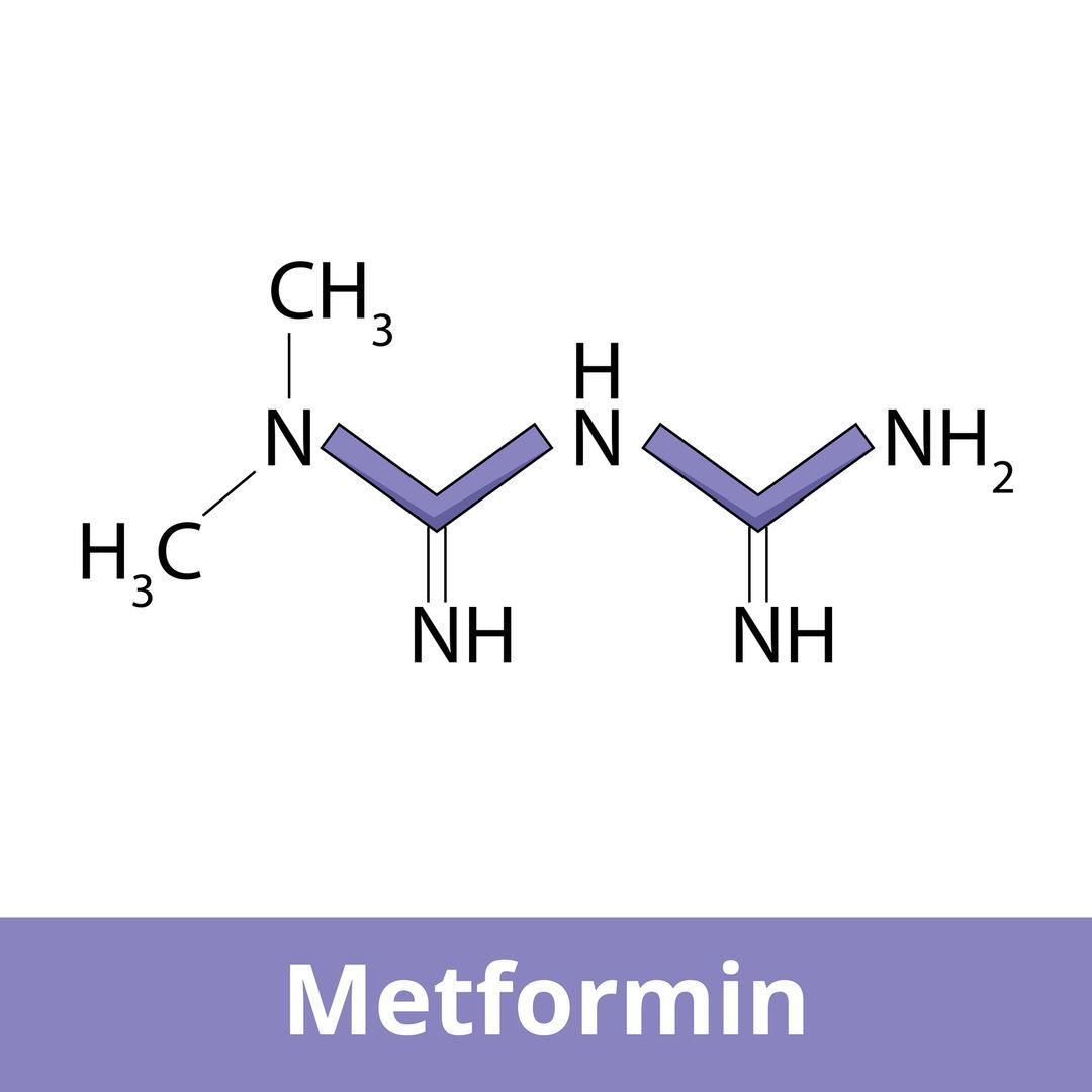 An illustration of the metformin chemical structure