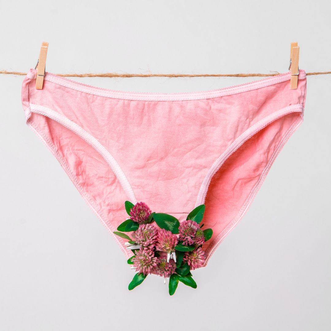 Pink women's underwear decorated with flowers pegged onto a clothesline isolated on white background.