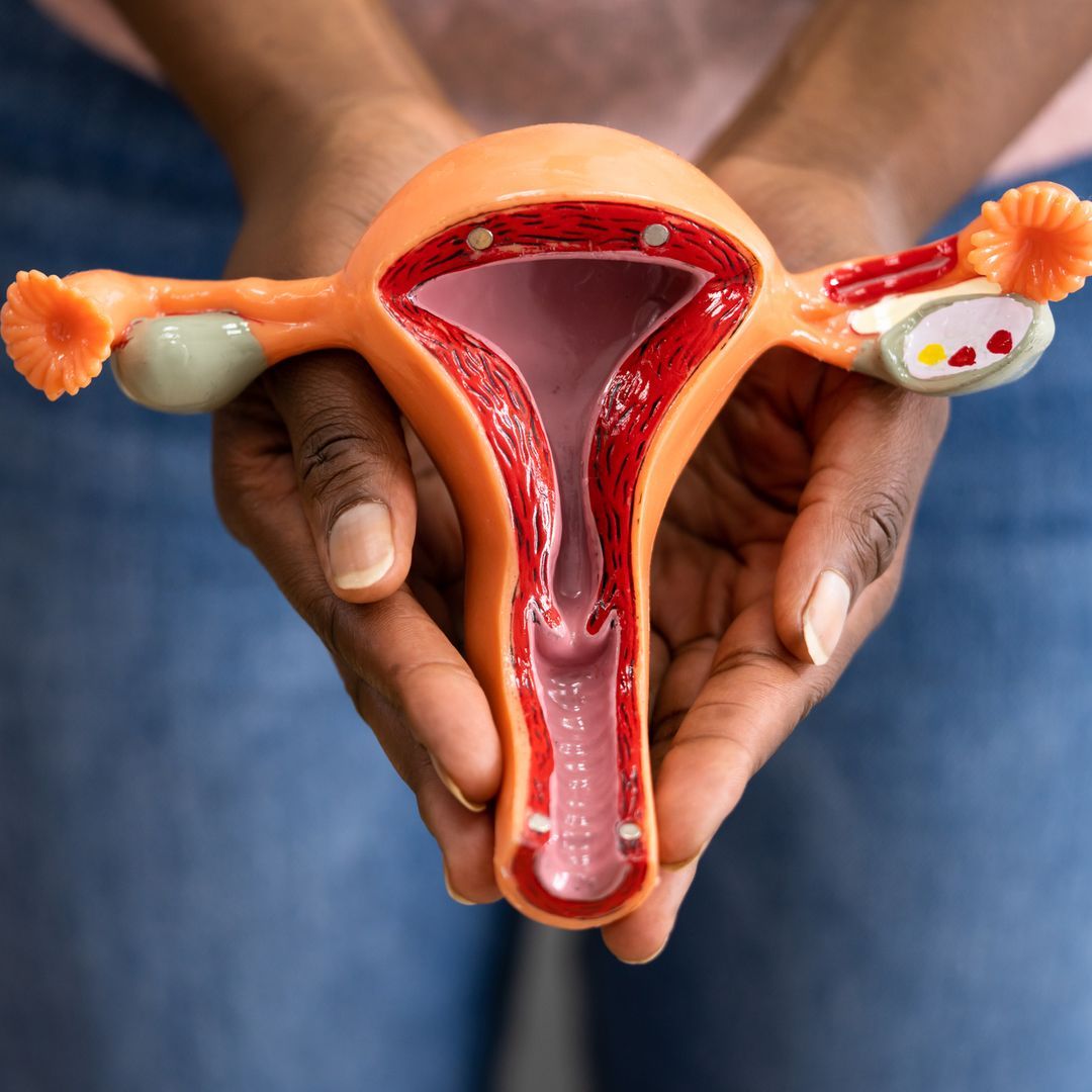 A woman holding a medical model of a human uterus