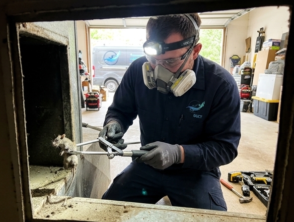 Dead Animal Removal from Your Livermore Air Ducts