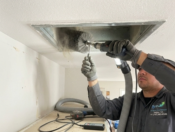 Professional Services - what we do