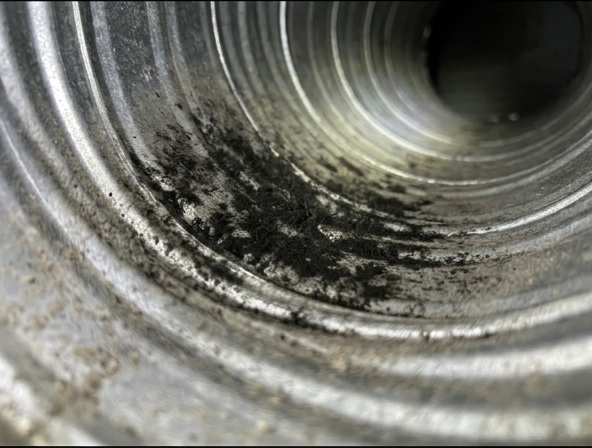 Worried About Mold in Your Santa Ana Air Ducts?