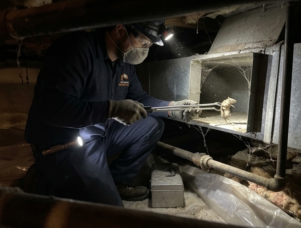 Dead Animal in Your Air Ducts? Get Fast Help in Van Nuys, CA