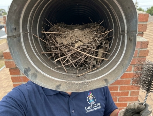 Is a Bird Nest Causing Problems in Your Compton Chimney?