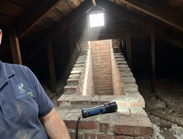 Is Your Whole House Safe From Chimney Issues?