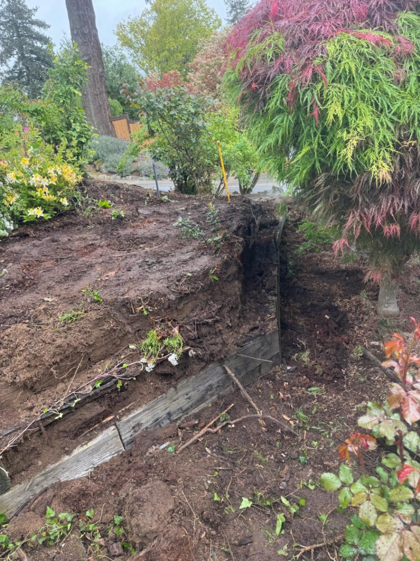 Crawlspace Solutions
