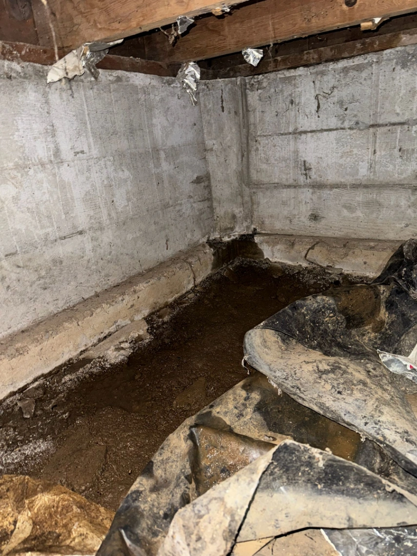 Project example for Dry-Rot Removal