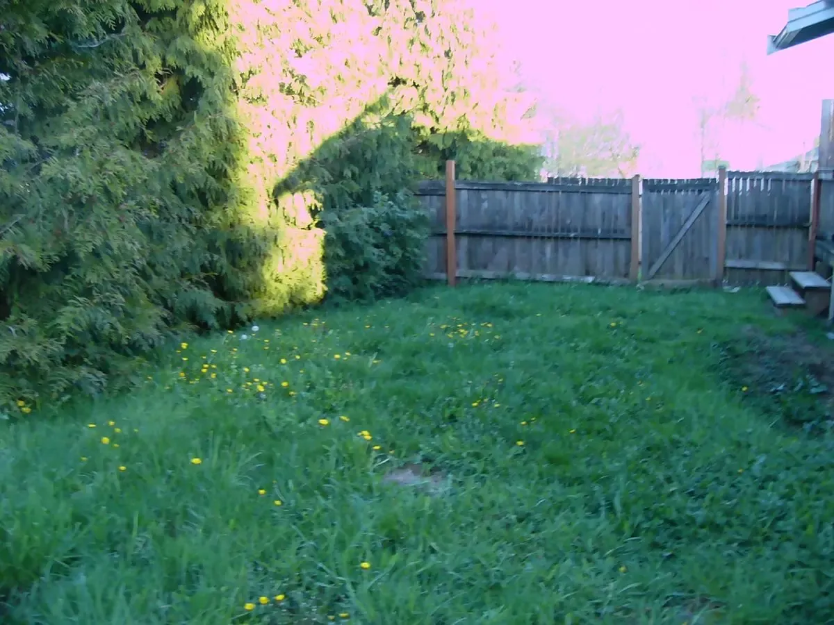 Everett "Rental Monster" — Legal Duplex + ADU, ~$6,900/mo Potential, $995K - Photo 12