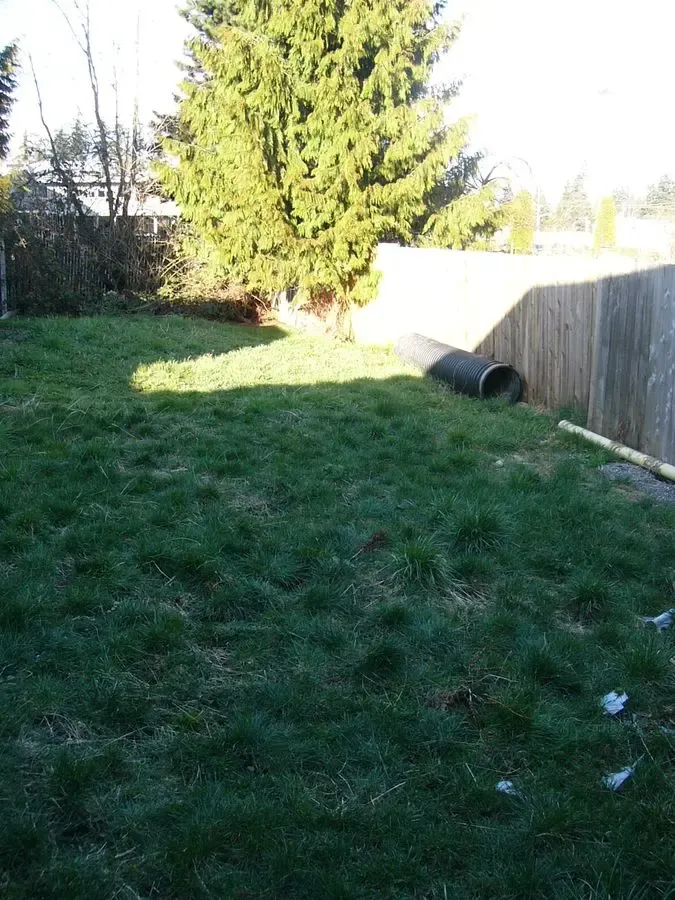 Everett "Rental Monster" — Legal Duplex + ADU, ~$6,900/mo Potential, $995K - Photo 24