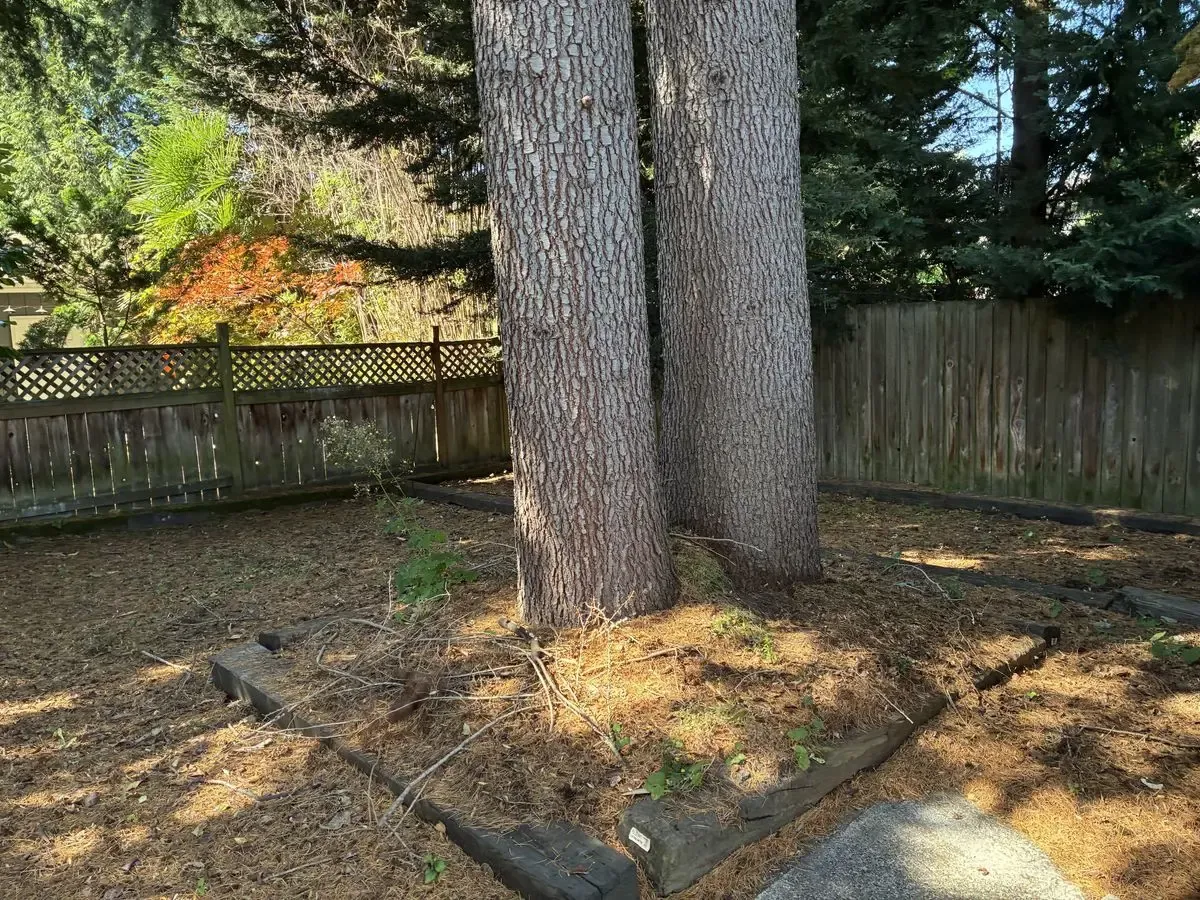 Seattle Flip 2/1 + Daylight Basement — $600K / $825K+ ARV - Photo 8