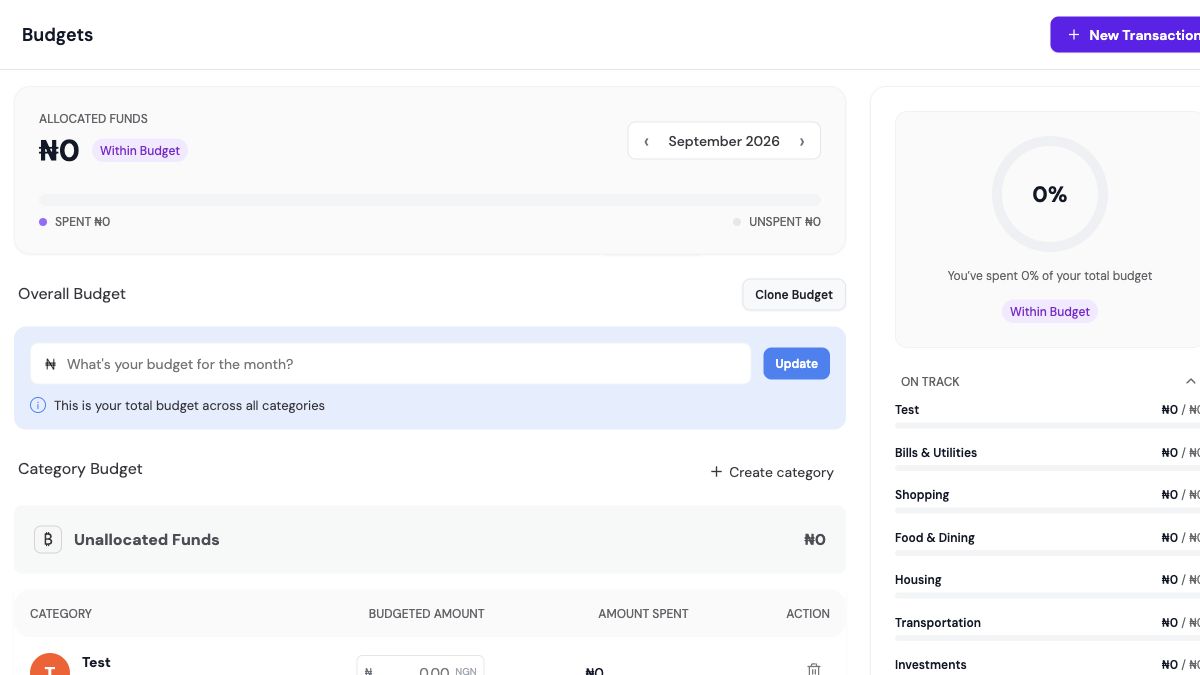 Expense Tracker monthly and category budget workspace