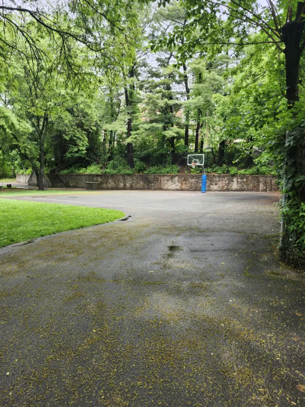 Roosevelt Park
