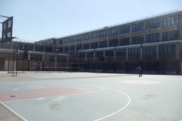 Woods Playground