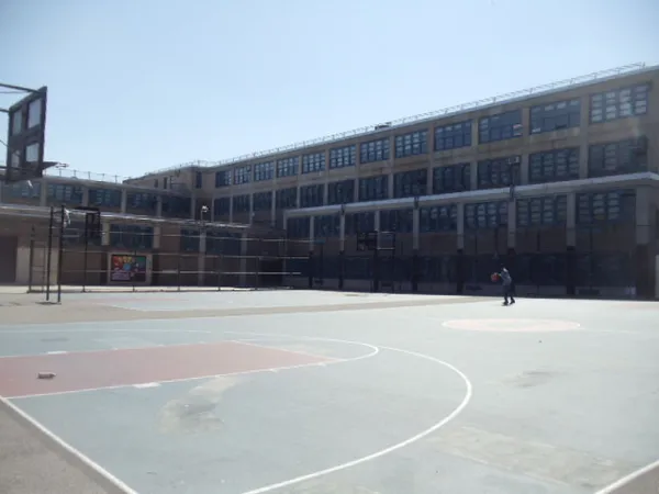 Woods Playground