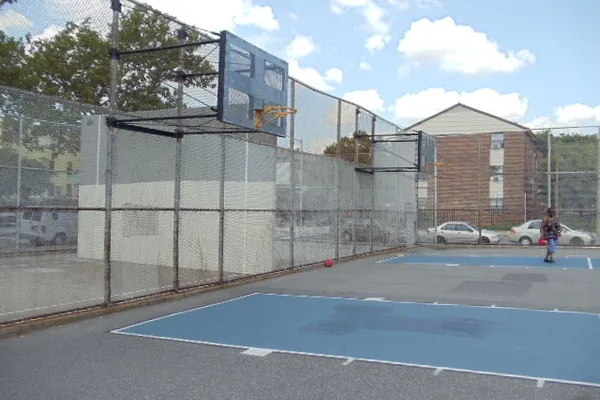 Tiger Playground