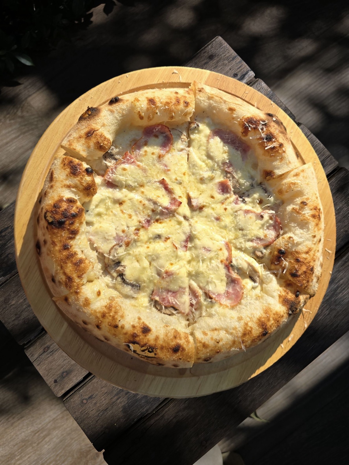 Carbonara 🥓 · ซอสครีมเห็ด เบคอน เห็ดแชมปิญอง