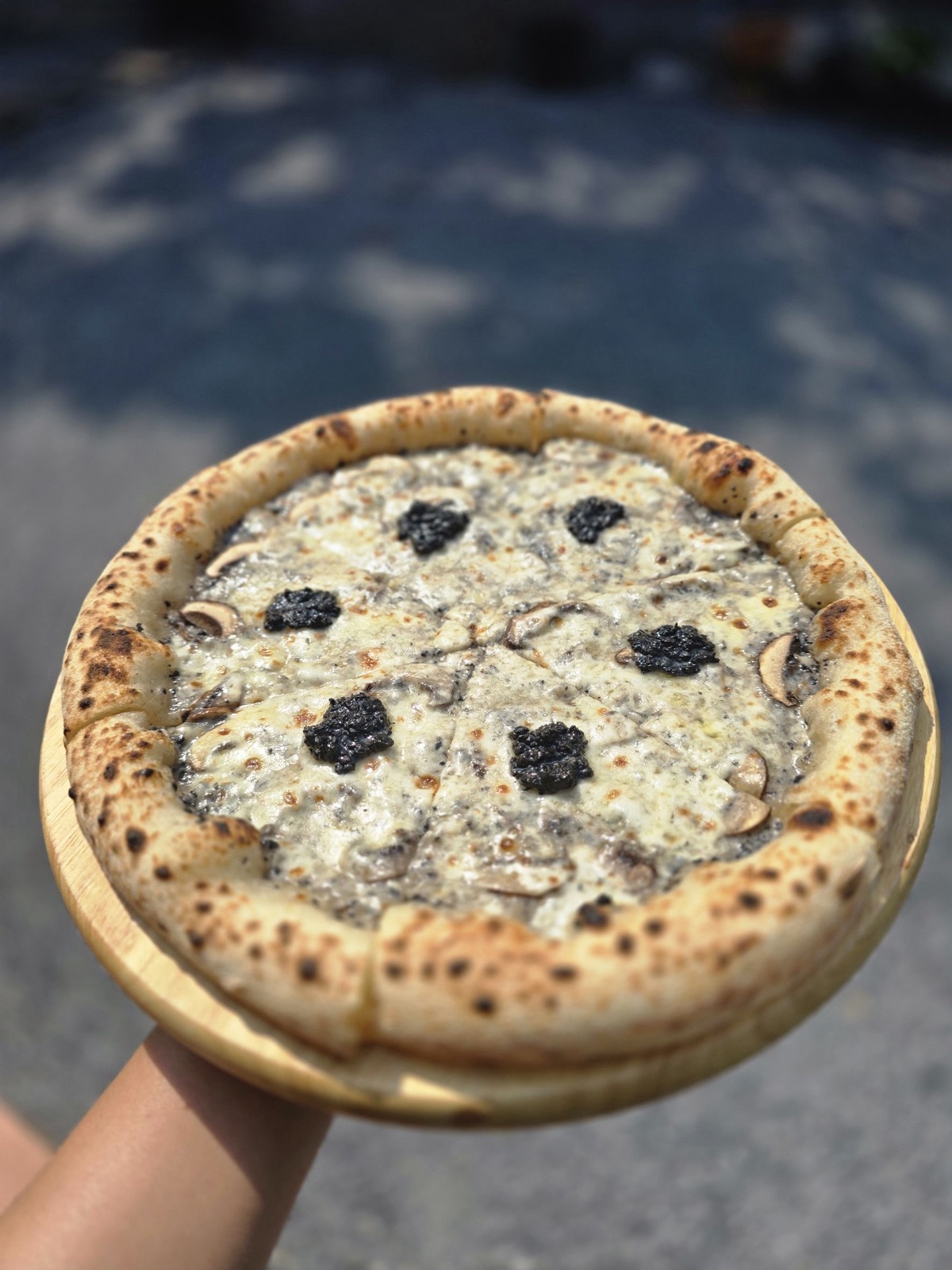 Truffle 🍄 · ซอสครีมเห็ดทรัฟเฟิล เห็ดแชมปิญอง