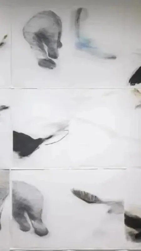대표 이미지