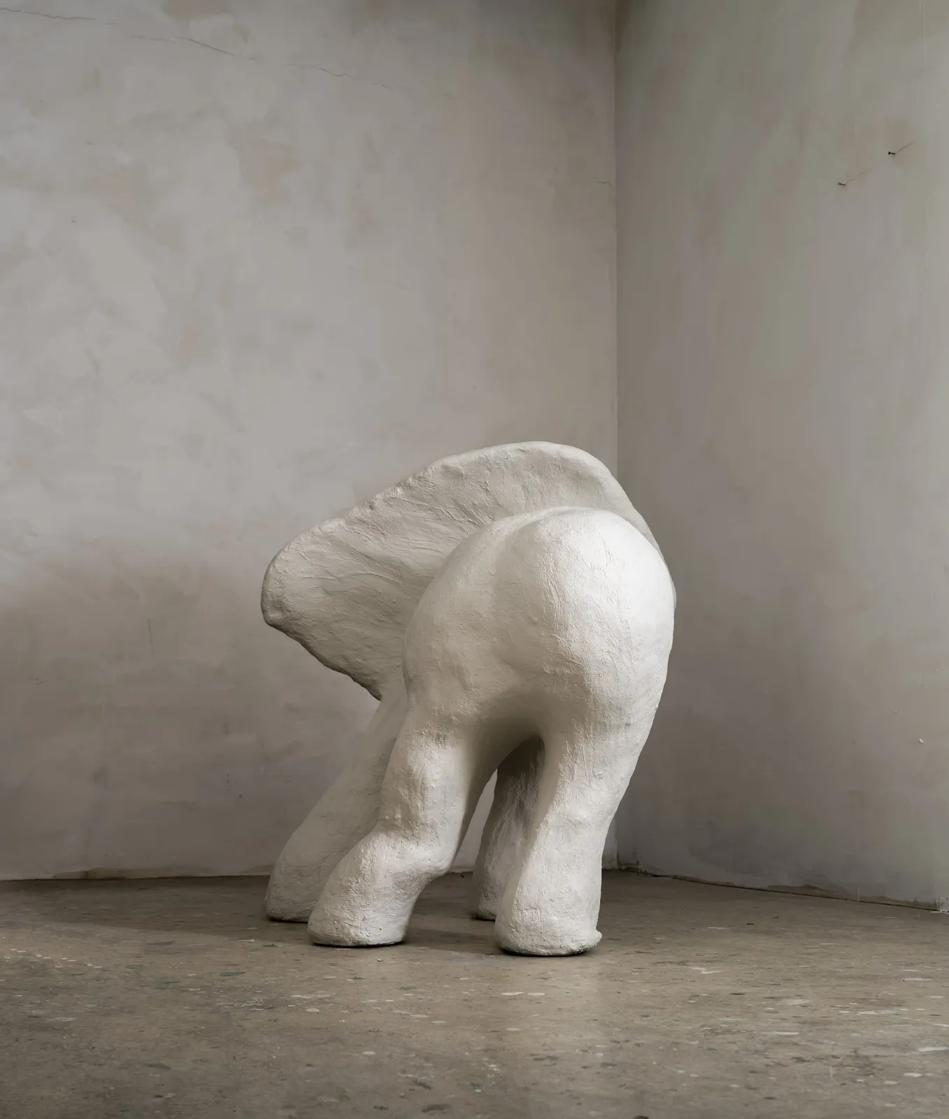 Elephant without trunk 6
