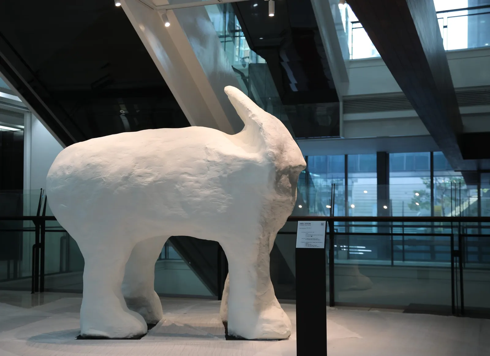 Elephant without trunk K