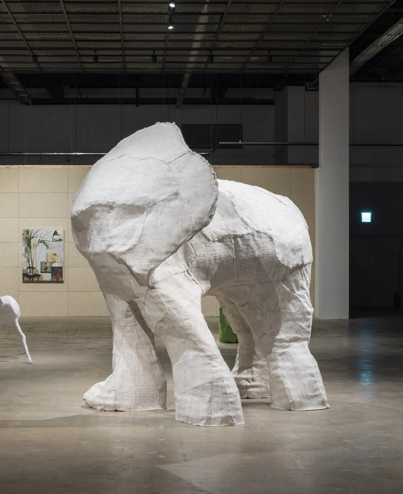 Elephant without trunk 1