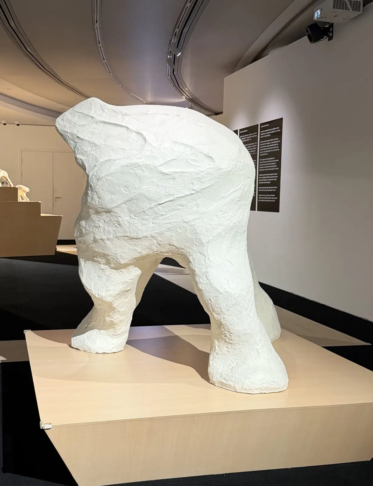 Elephant without trunk 5