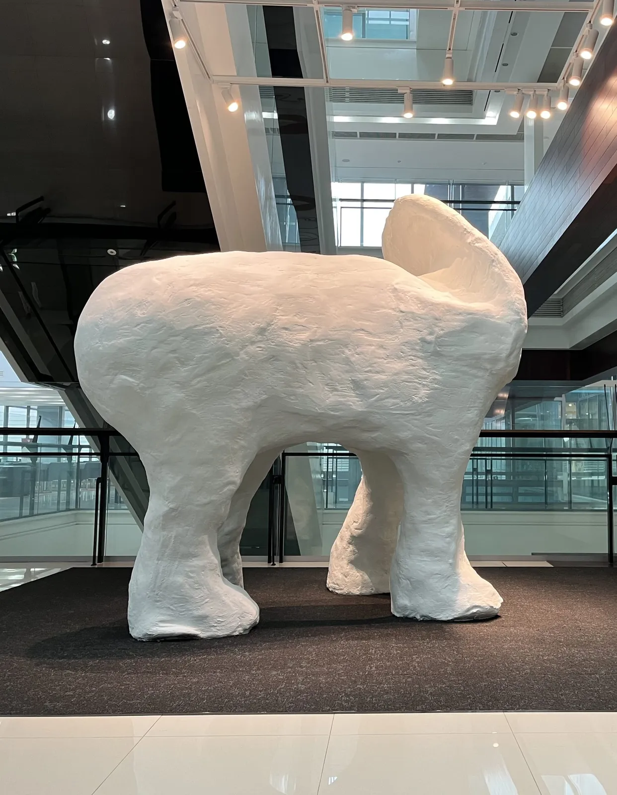 Elephant without trunk K