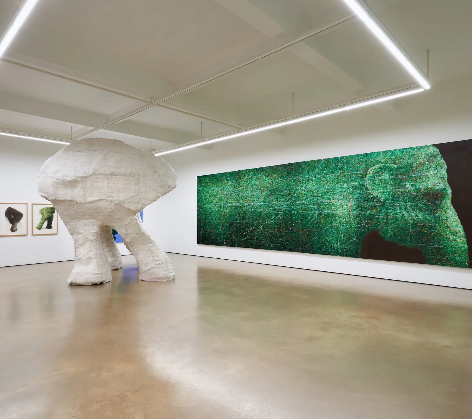 Installation view