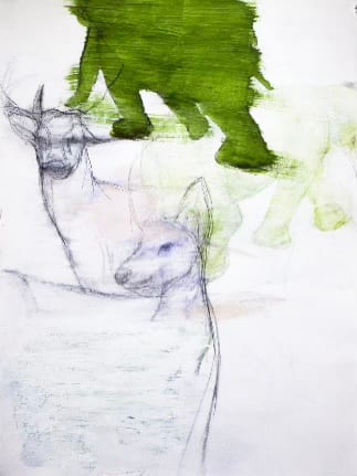 <들리지 않는 속삭임 – 사슴에게 Hidden Whisper - Dear Deer>, Acrylic, charcoal on paper, 76x56cm, 2015-2023, Courtesy of the artist and Duson Gallery