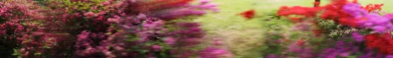 [下] <흐르는 풍경-600년을 넘어서 - 이 빨강물결은 어디까지 가나 Timeless landscape -over 600 year>, Digital Photography, 150x1000cm, 2015- 2022, Courtesy of the artist and Duson Gallery