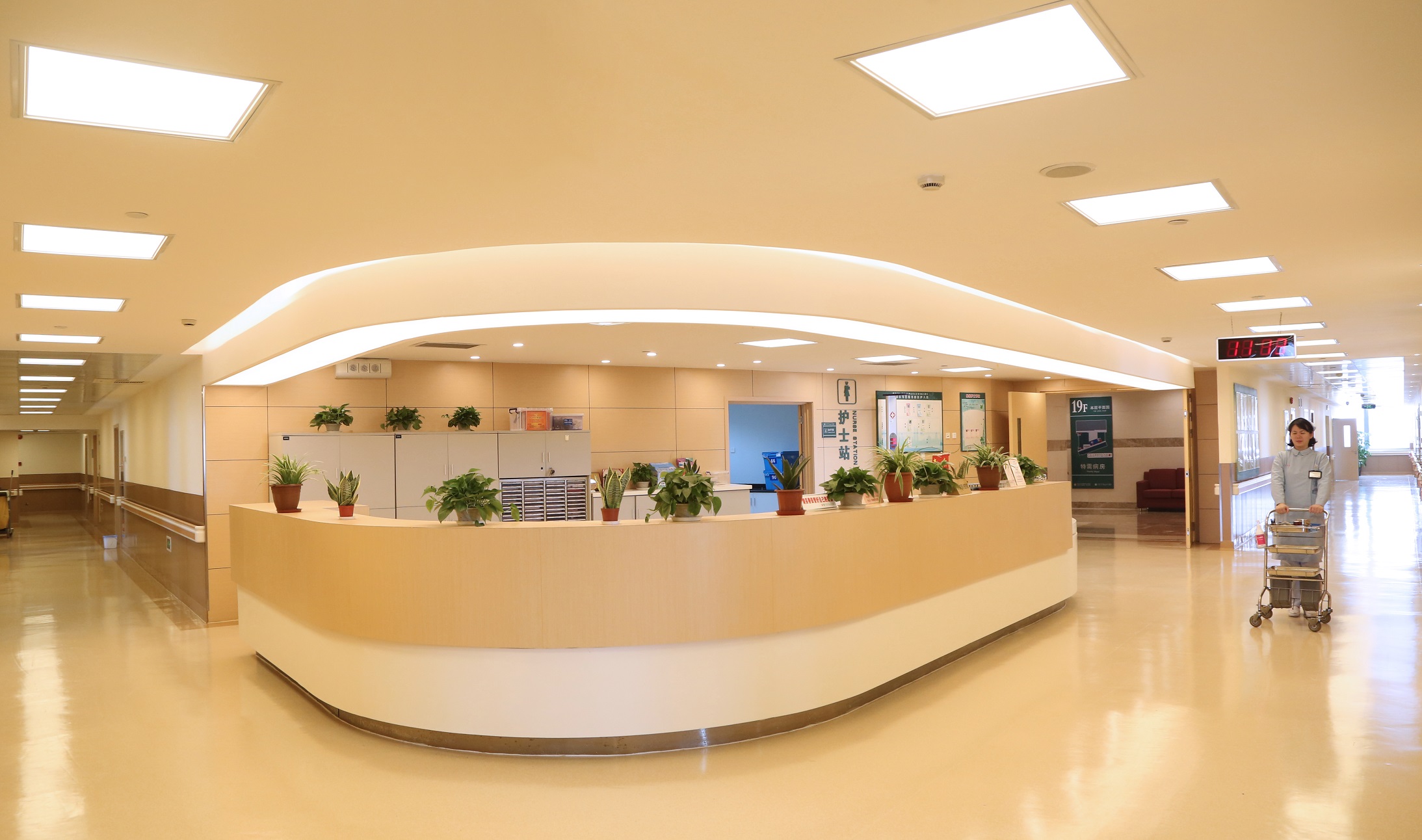 Selected Health Screening (Prime Plan) - Top-tier Public Hospital