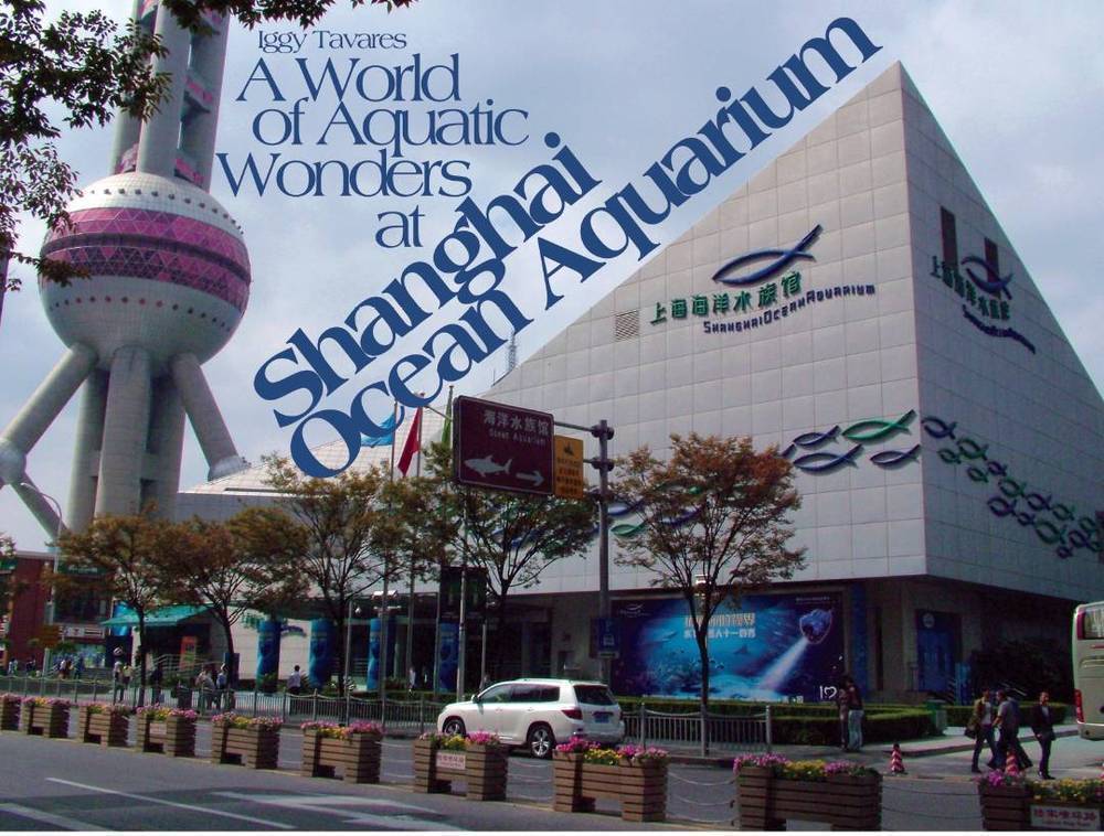 Shanghai Ocean Aquarium