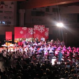 2004 Novoletni Koncert