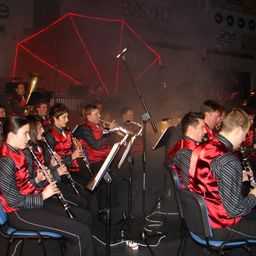 2008 Novoletni Koncert