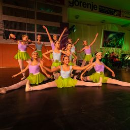 2020 Novoletni Koncert