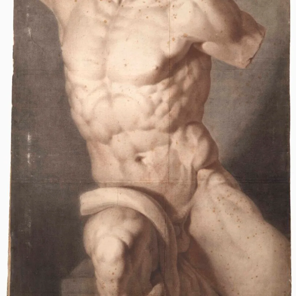 Décortiqués. Leçons d'anatomie dans les collections dijonnaises