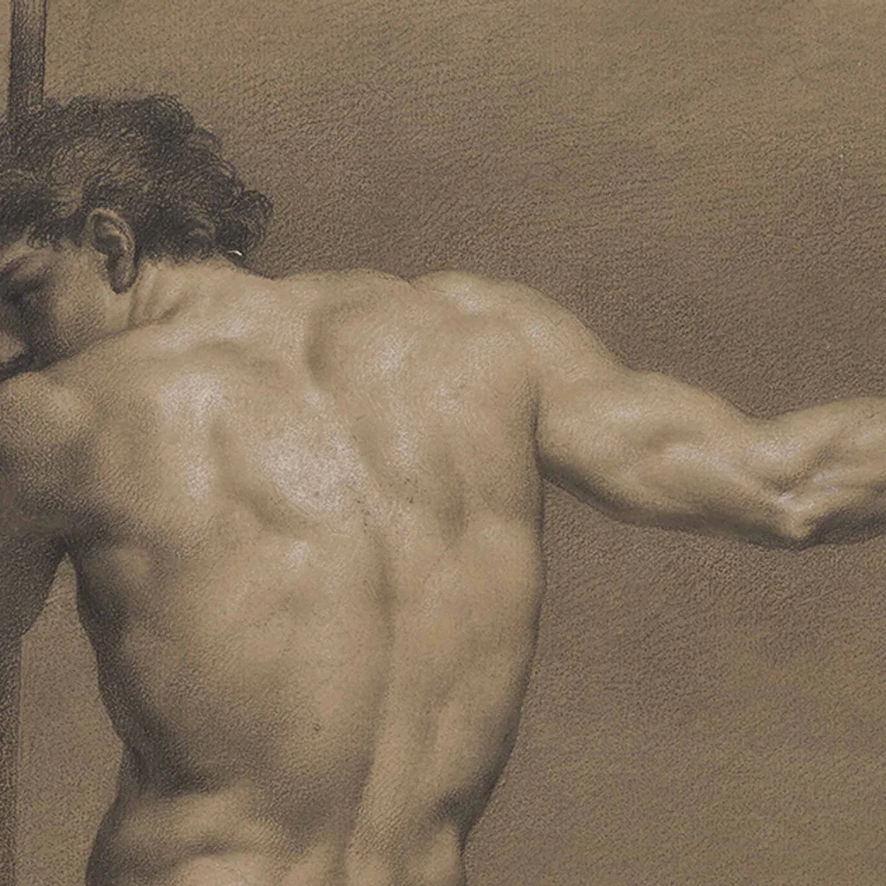 Décortiqués. Leçons d'anatomie dans les collections dijonnaises 2
