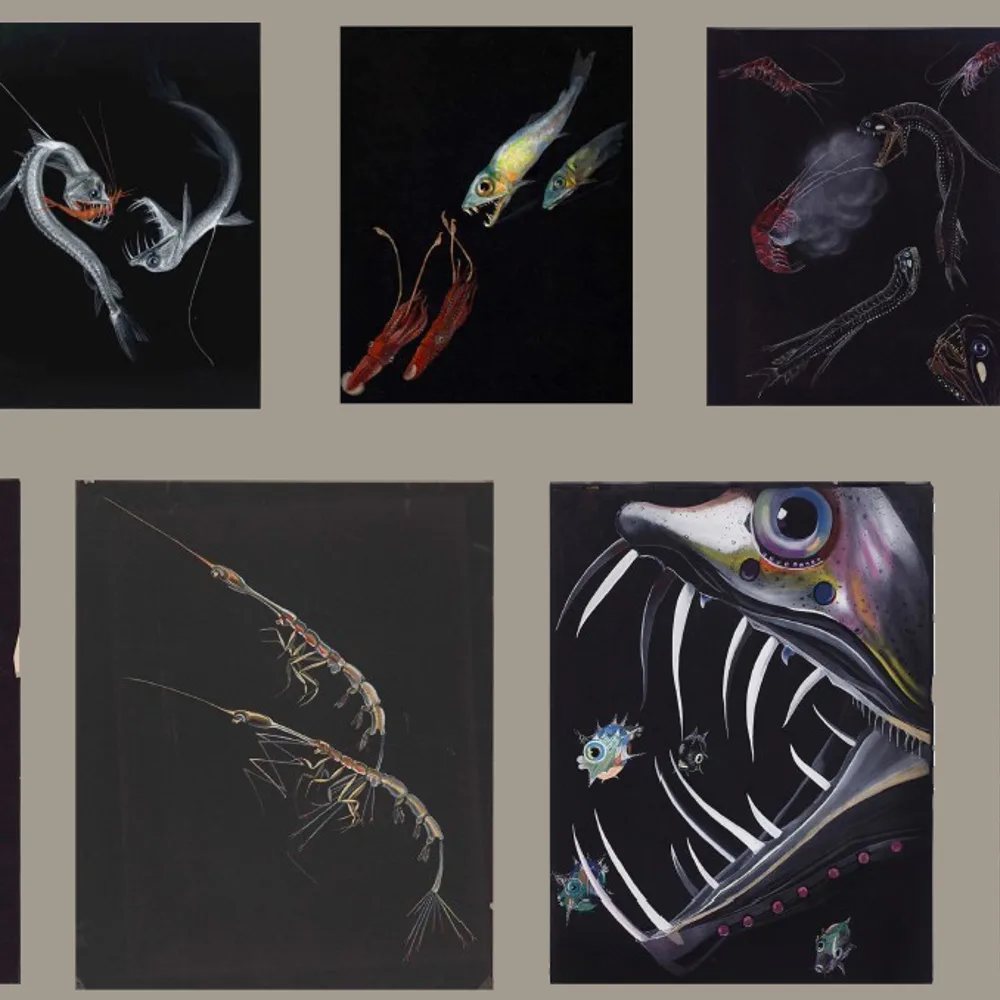 Exposition « Affundà l'expédition… »