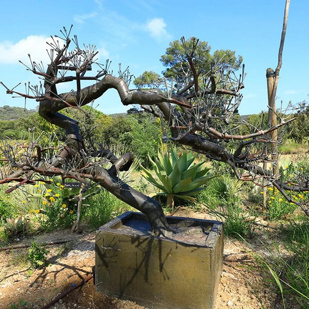 Jardin de sculptures 3